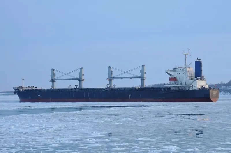 ORCHID Bulk Carrier IMO 9478860 photo 2