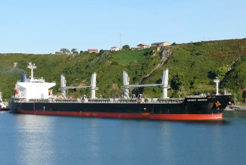 ORCHID Bulk Carrier IMO 9478860 photo 6