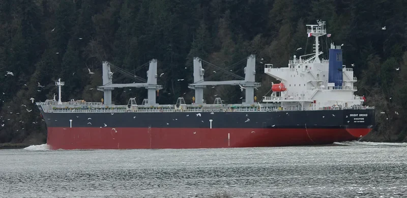 ORCHID Bulk Carrier IMO 9478860 photo 8