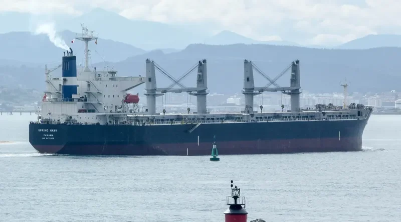 SPRING HAWK Bulk Carrier IMO 9478872
