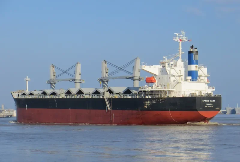 SPRING HAWK Bulk Carrier IMO 9478872 photo 4