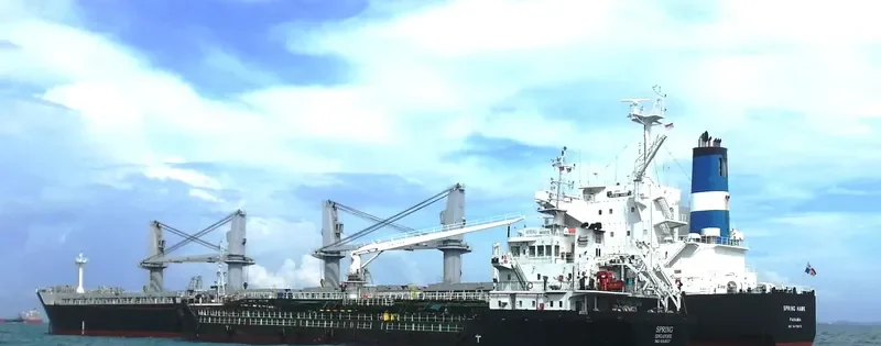 SPRING HAWK Bulk Carrier IMO 9478872 photo 5