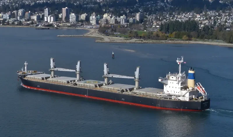 NEW GALAXY Bulk Carrier IMO 9478884 photo 3