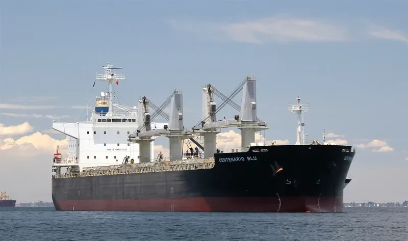 NEW GALAXY Bulk Carrier IMO 9478884 photo 8