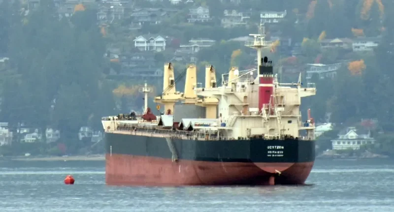 SEA PEARL Bulk Carrier IMO 9478896 photo 5