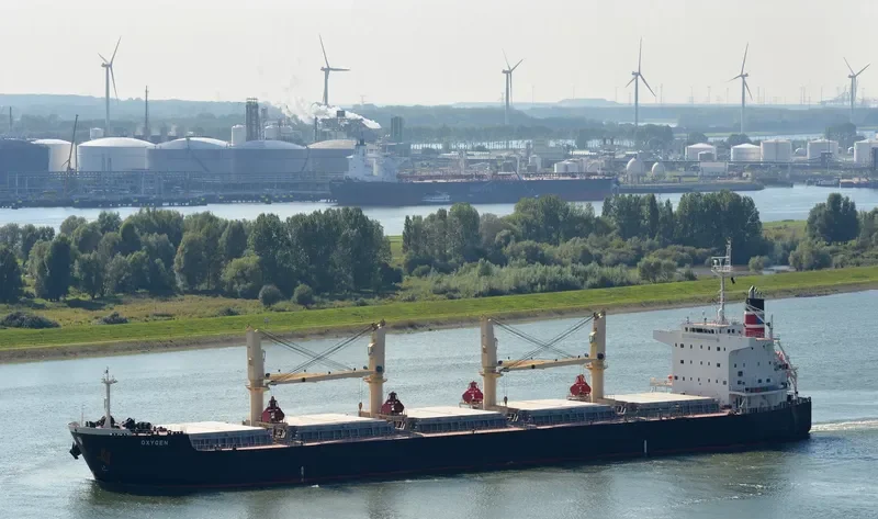 SEA PEARL Bulk Carrier IMO 9478896 photo 6