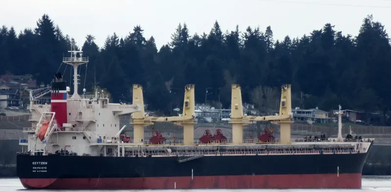 SEA PEARL Bulk Carrier IMO 9478896 photo 7