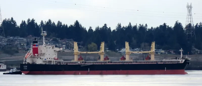 SEA PEARL Bulk Carrier IMO 9478896 photo 8