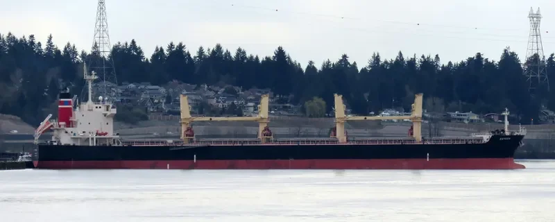 SEA PEARL Bulk Carrier IMO 9478896 photo 9