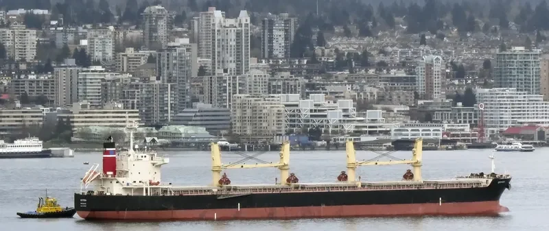 SEA PEARL Bulk Carrier IMO 9478896 photo 10