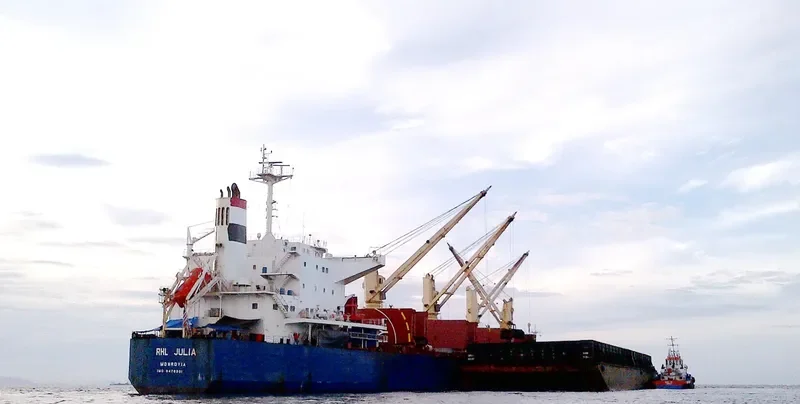 RHL JULIA Bulk Carrier IMO 9478901