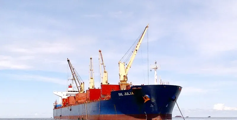 RHL JULIA Bulk Carrier IMO 9478901 photo 2