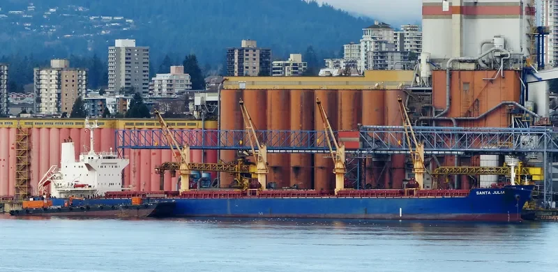 RHL JULIA Bulk Carrier IMO 9478901 photo 4