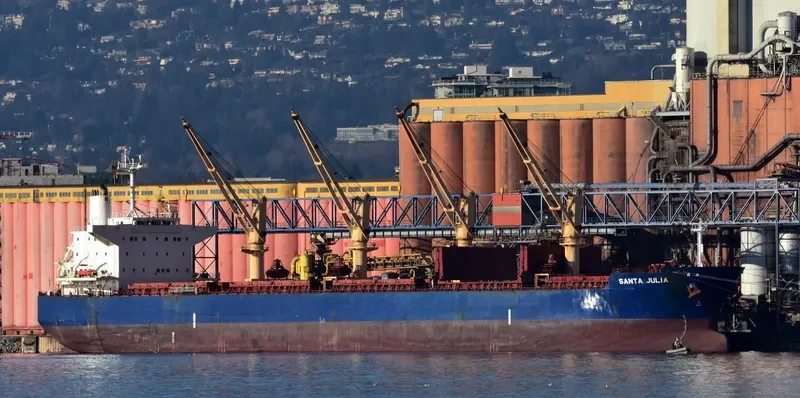 RHL JULIA Bulk Carrier IMO 9478901 photo 5