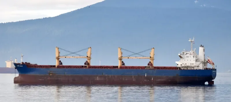 RHL JULIA Bulk Carrier IMO 9478901 photo 6