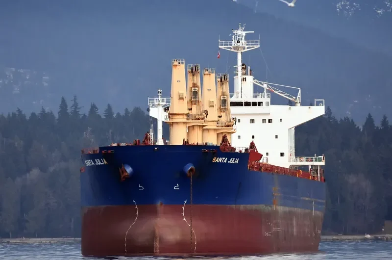 RHL JULIA Bulk Carrier IMO 9478901 photo 7