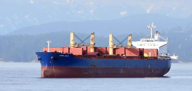 RHL JULIA Bulk Carrier IMO 9478901 photo 8