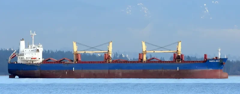 RHL JULIA Bulk Carrier IMO 9478901 photo 9