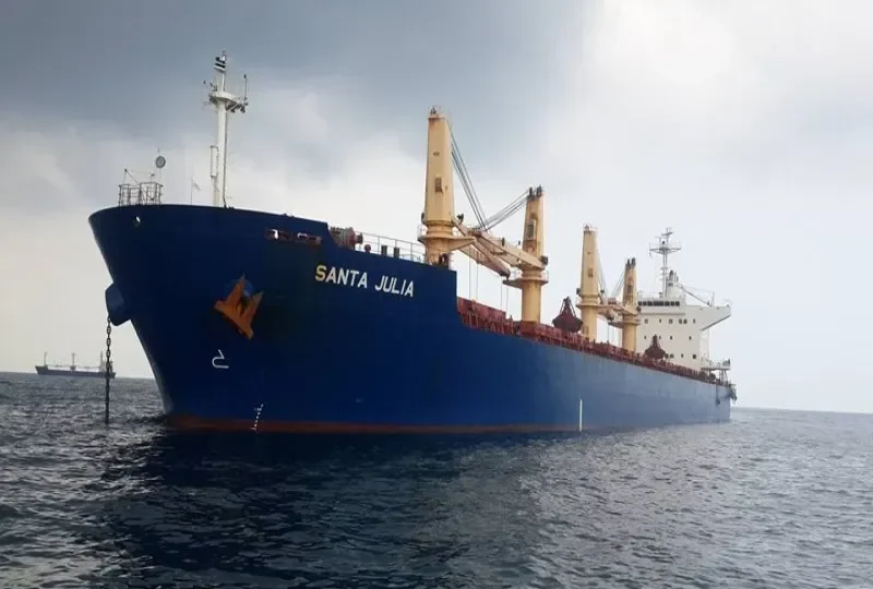 RHL JULIA Bulk Carrier IMO 9478901 photo 10