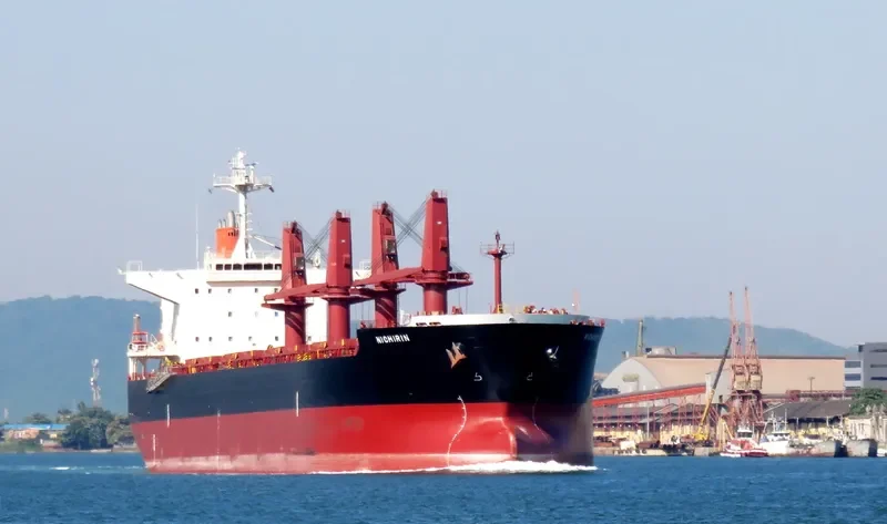 SSI MAJESTY Bulk Carrier IMO 9478913 photo 2