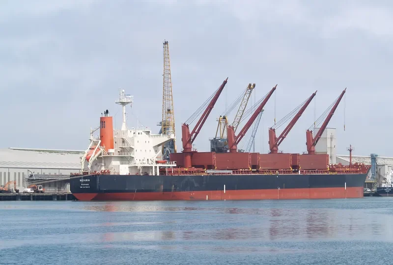 SSI MAJESTY Bulk Carrier IMO 9478913 photo 3