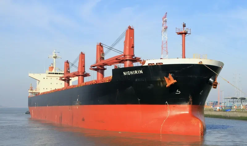 SSI MAJESTY Bulk Carrier IMO 9478913 photo 4