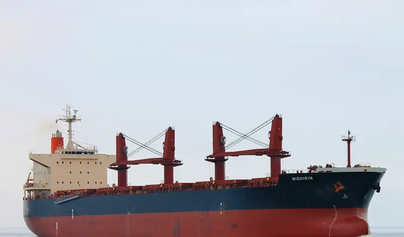 SSI MAJESTY Bulk Carrier IMO 9478913 photo 5