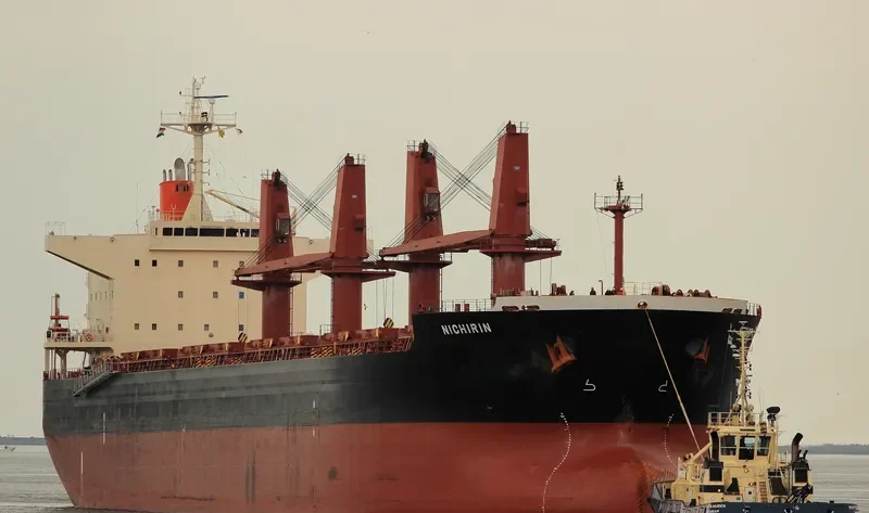 SSI MAJESTY Bulk Carrier IMO 9478913 photo 10