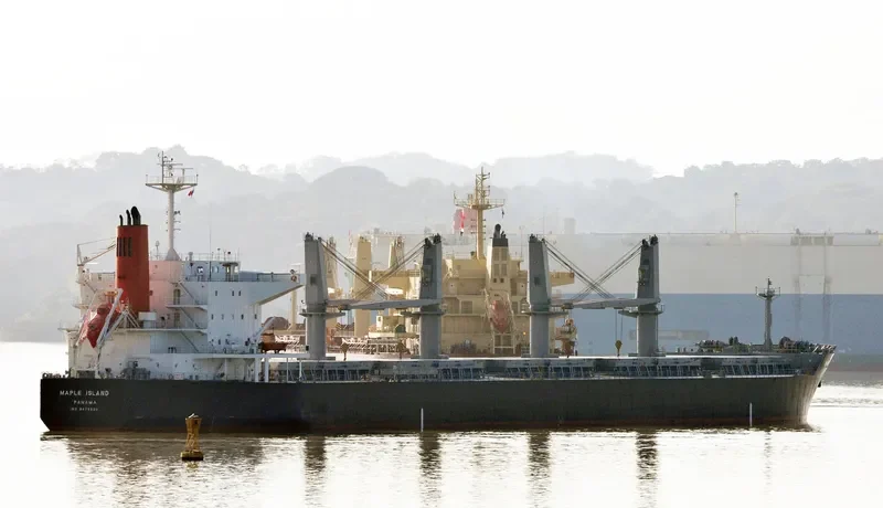 LUMOSO KARUNIA VIII Bulk Carrier IMO 9478925 photo 3