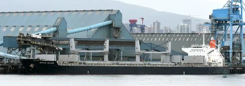LUMOSO KARUNIA VIII Bulk Carrier IMO 9478925 photo 4