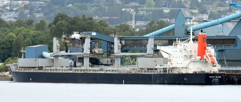 LUMOSO KARUNIA VIII Bulk Carrier IMO 9478925 photo 5