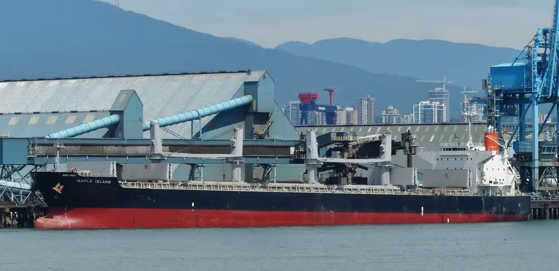 LUMOSO KARUNIA VIII Bulk Carrier IMO 9478925 photo 6