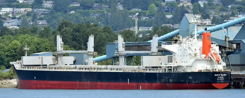 LUMOSO KARUNIA VIII Bulk Carrier IMO 9478925 photo 8