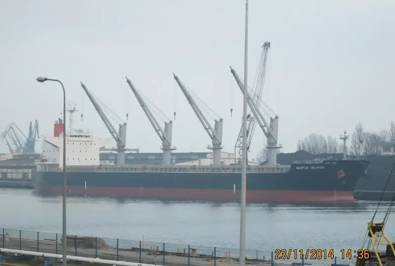 LUMOSO KARUNIA VIII Bulk Carrier IMO 9478925 photo 9