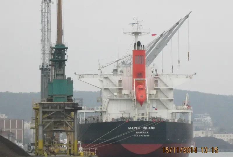LUMOSO KARUNIA VIII Bulk Carrier IMO 9478925 photo 10