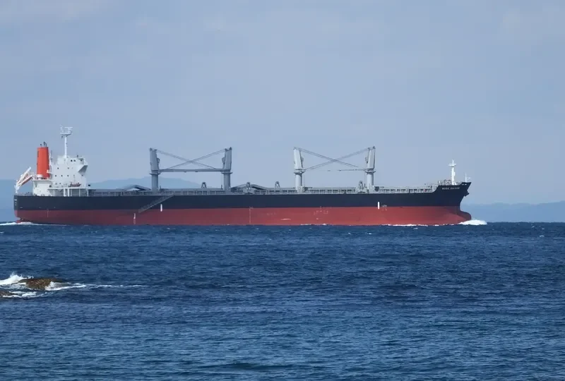 TEGEA Bulk Carrier IMO 9478937 photo 2