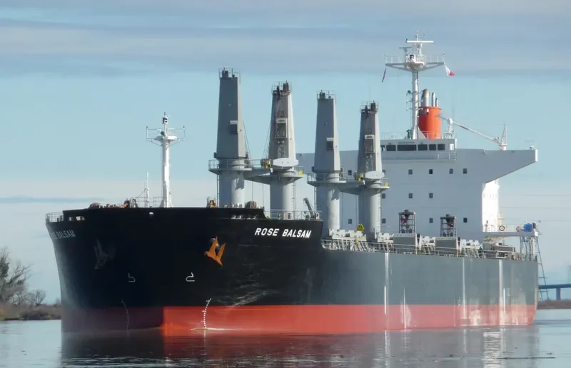 TEGEA Bulk Carrier IMO 9478937 photo 3