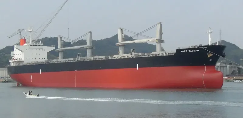 TEGEA Bulk Carrier IMO 9478937 photo 6