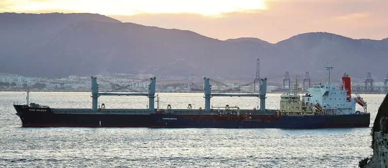 TEGEA Bulk Carrier IMO 9478937 photo 8