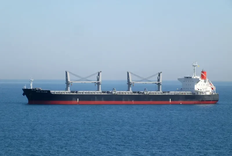 TEGEA Bulk Carrier IMO 9478937 photo 10