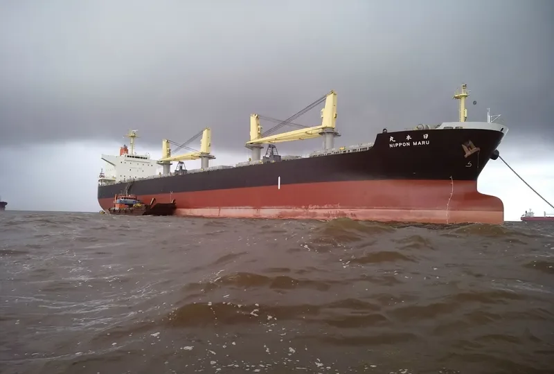 NIPPON MARU Bulk Carrier IMO 9478949 photo 2