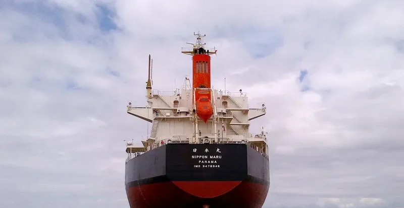 NIPPON MARU Bulk Carrier IMO 9478949 photo 4