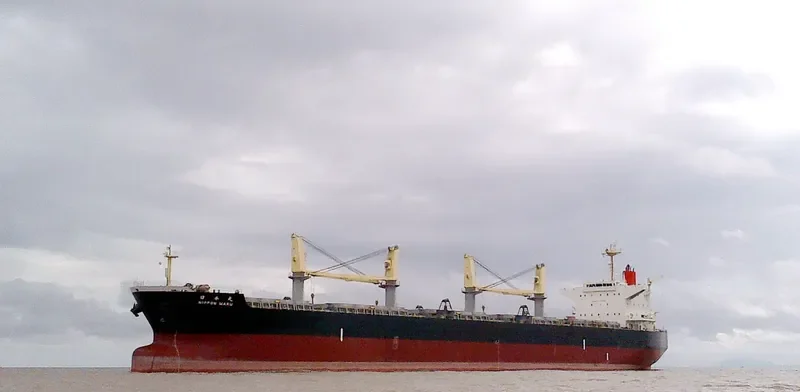 NIPPON MARU Bulk Carrier IMO 9478949 photo 5