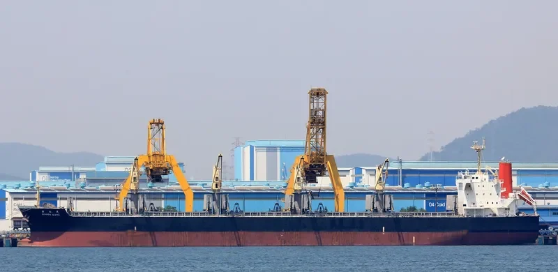 NIPPON MARU Bulk Carrier IMO 9478949 photo 9