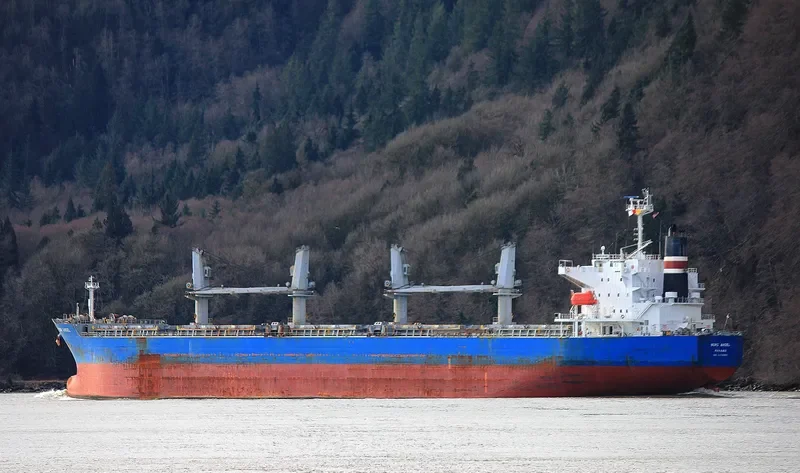 MINDANAO Bulk Carrier IMO 9478963