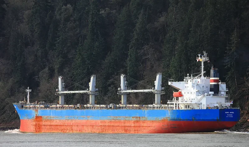 MINDANAO Bulk Carrier IMO 9478963 photo 2