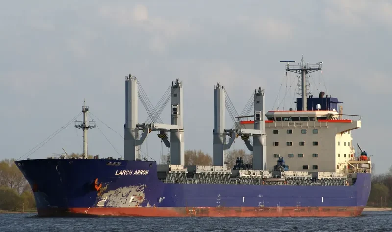 MINDANAO Bulk Carrier IMO 9478963 photo 7
