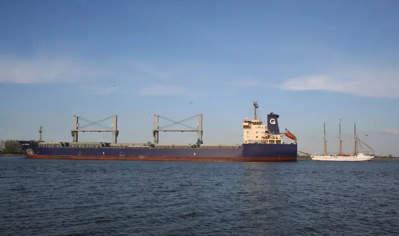 MINDANAO Bulk Carrier IMO 9478963 photo 9