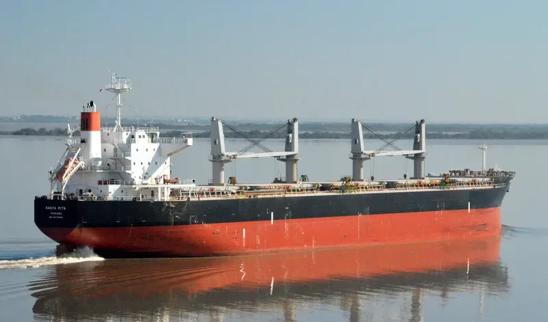 SANTA RITA Bulk Carrier IMO 9478999 photo 4