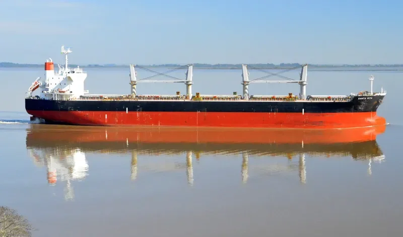 SANTA RITA Bulk Carrier IMO 9478999 photo 5